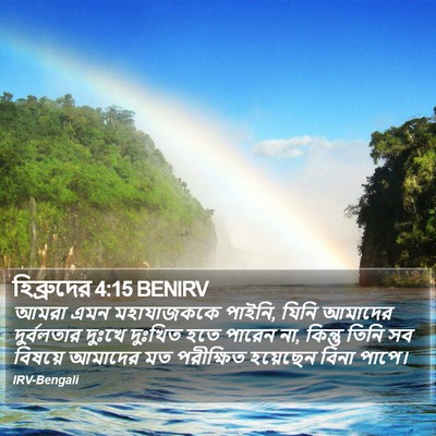 হিব্রুদের 4:15 BENIRV Bible Verse Image