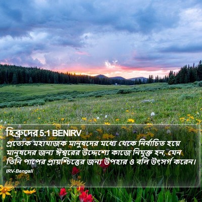 হিব্রুদের 5:1 BENIRV Bible Verse Image