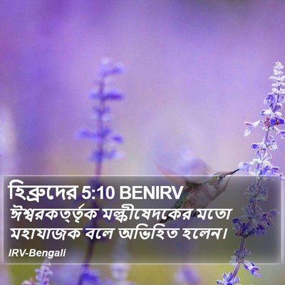 হিব্রুদের 5:10 BENIRV Bible Verse Image