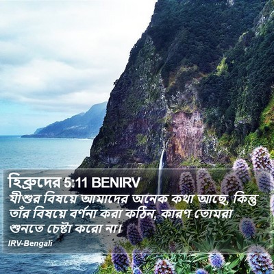 হিব্রুদের 5:11 BENIRV Bible Verse Image
