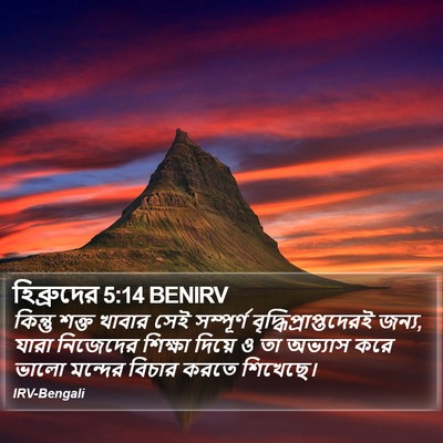 হিব্রুদের 5:14 BENIRV Bible Verse Image