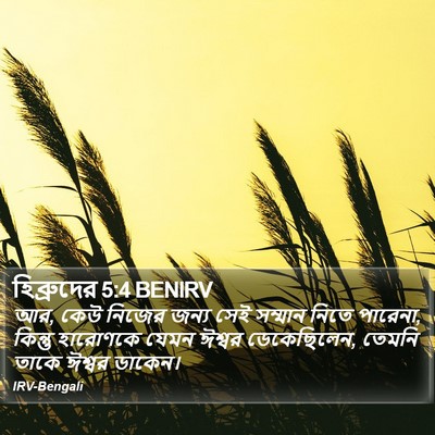 হিব্রুদের 5:4 BENIRV Bible Verse Image