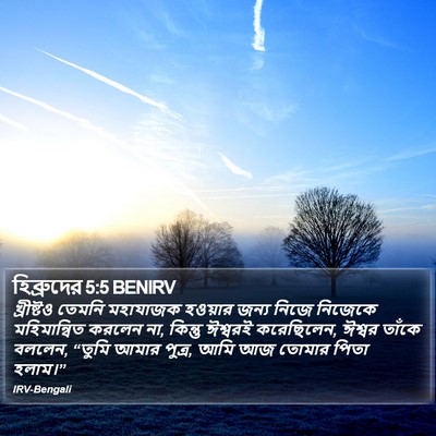 হিব্রুদের 5:5 BENIRV Bible Verse Image