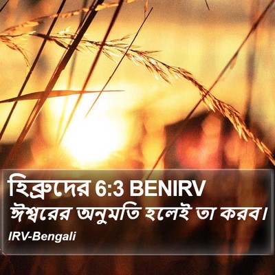 হিব্রুদের 6:3 BENIRV Bible Verse Image