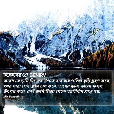 হিব্রুদের 6:7 BENIRV Bible Verse Image
