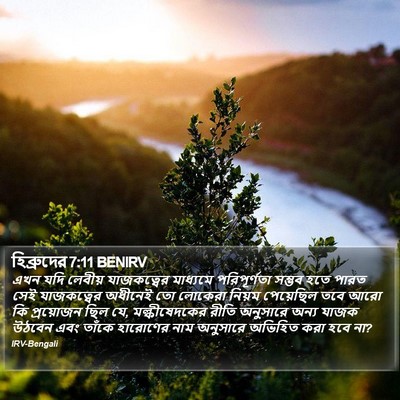 হিব্রুদের 7:11 BENIRV Bible Verse Image