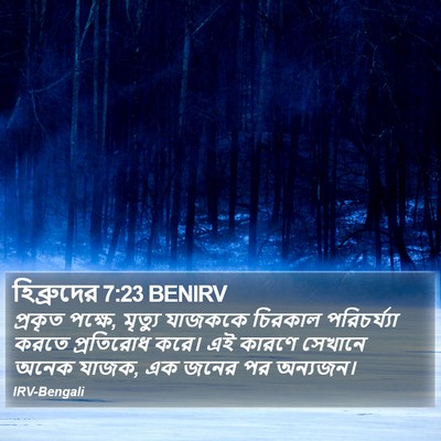 হিব্রুদের 7:23 BENIRV Bible Verse Image