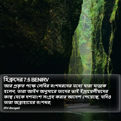 হিব্রুদের 7:5 BENIRV Bible Verse Image