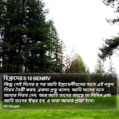 হিব্রুদের 8:10 BENIRV Bible Verse Image