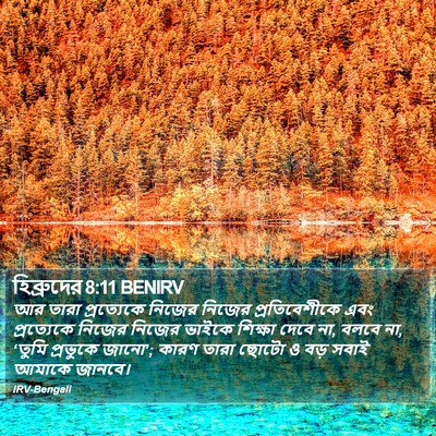 হিব্রুদের 8:11 BENIRV Bible Verse Image
