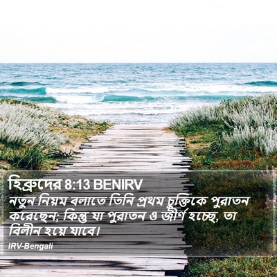 হিব্রুদের 8:13 BENIRV Bible Verse Image