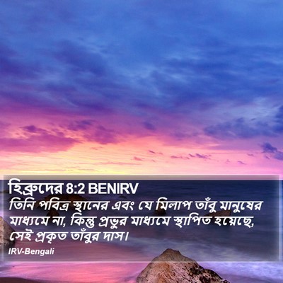 হিব্রুদের 8:2 BENIRV Bible Verse Image