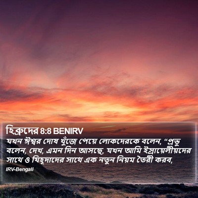 হিব্রুদের 8:8 BENIRV Bible Verse Image
