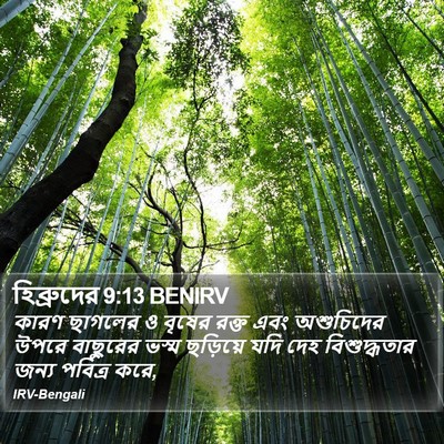 হিব্রুদের 9:13 BENIRV Bible Verse Image