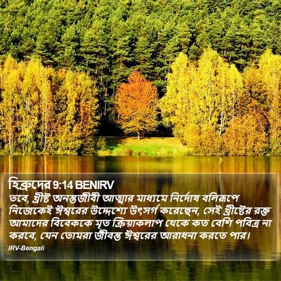 হিব্রুদের 9:14 BENIRV Bible Verse Image