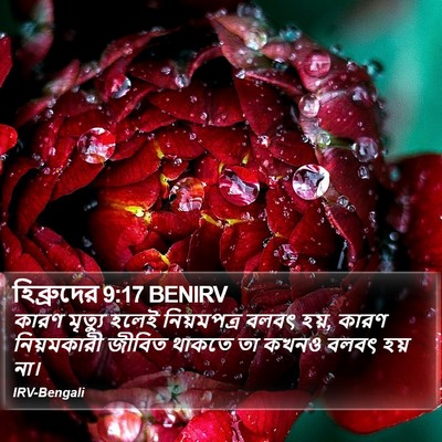 হিব্রুদের 9:17 BENIRV Bible Verse Image