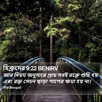 হিব্রুদের 9:22 BENIRV Bible Verse Image