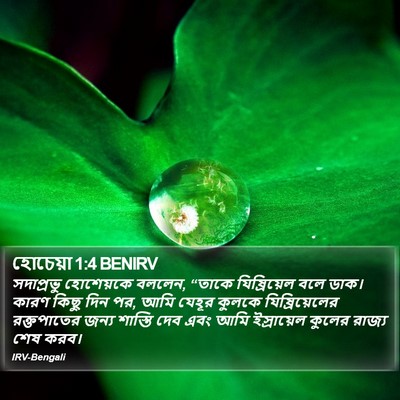হোচেয়া 1:4 BENIRV Bible Verse Image