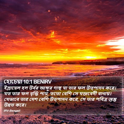 হোচেয়া 10:1 BENIRV Bible Verse Image