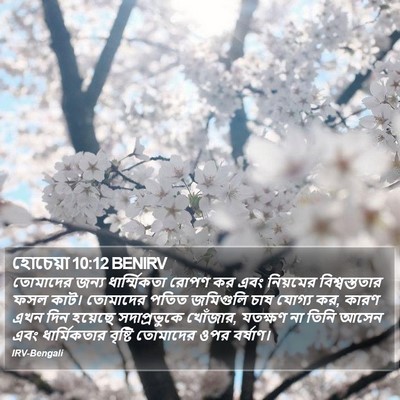 হোচেয়া 10:12 BENIRV Bible Verse Image
