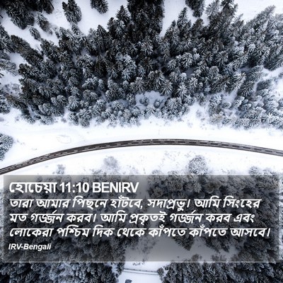 হোচেয়া 11:10 BENIRV Bible Verse Image