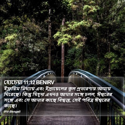 হোচেয়া 11:12 BENIRV Bible Verse Image