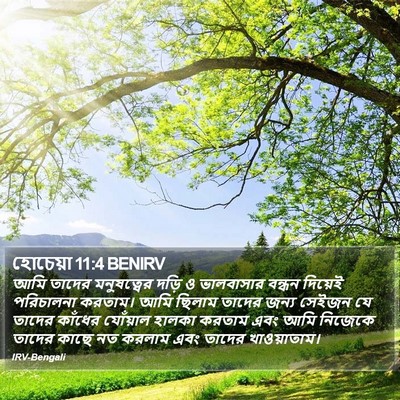 হোচেয়া 11:4 BENIRV Bible Verse Image
