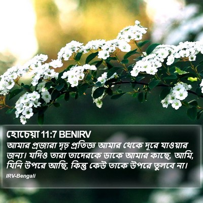 হোচেয়া 11:7 BENIRV Bible Verse Image