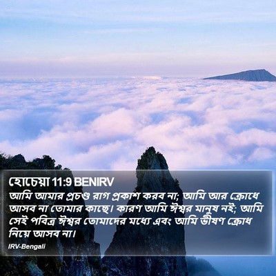 হোচেয়া 11:9 BENIRV Bible Verse Image