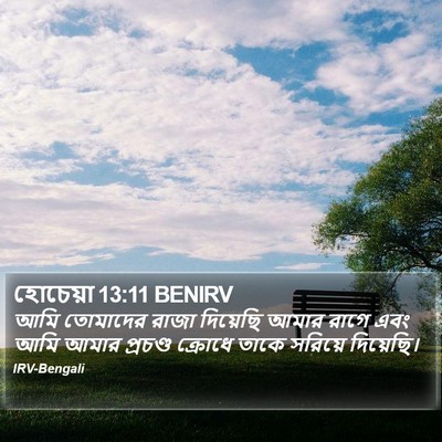 হোচেয়া 13:11 BENIRV Bible Verse Image