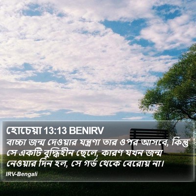 হোচেয়া 13:13 BENIRV Bible Verse Image