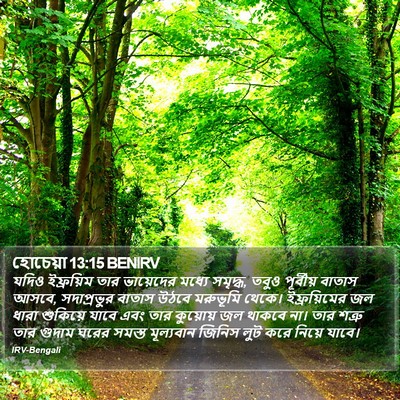 হোচেয়া 13:15 BENIRV Bible Verse Image