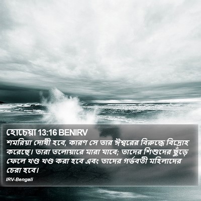 হোচেয়া 13:16 BENIRV Bible Verse Image