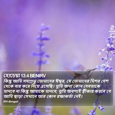 হোচেয়া 13:4 BENIRV Bible Verse Image
