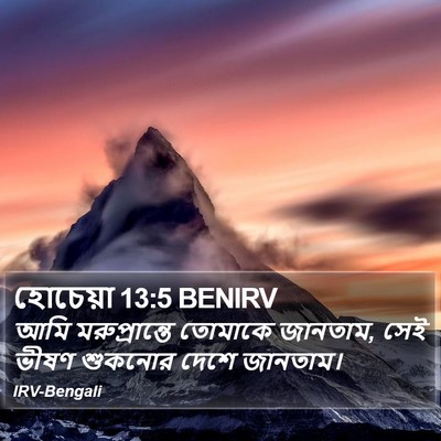 হোচেয়া 13:5 BENIRV Bible Verse Image