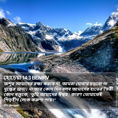 হোচেয়া 14:3 BENIRV Bible Verse Image