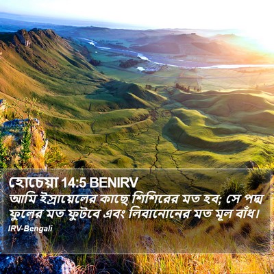 হোচেয়া 14:5 BENIRV Bible Verse Image