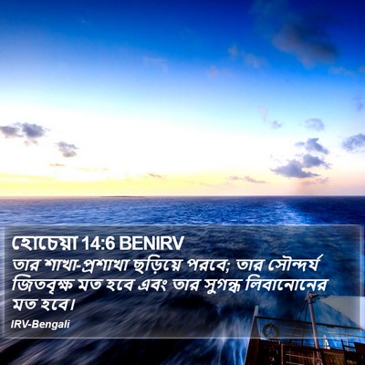 হোচেয়া 14:6 BENIRV Bible Verse Image