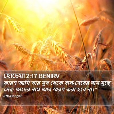 হোচেয়া 2:17 BENIRV Bible Verse Image