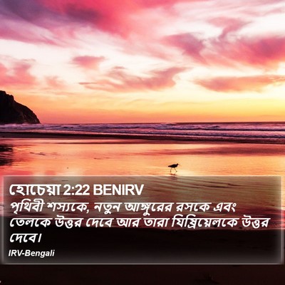 হোচেয়া 2:22 BENIRV Bible Verse Image