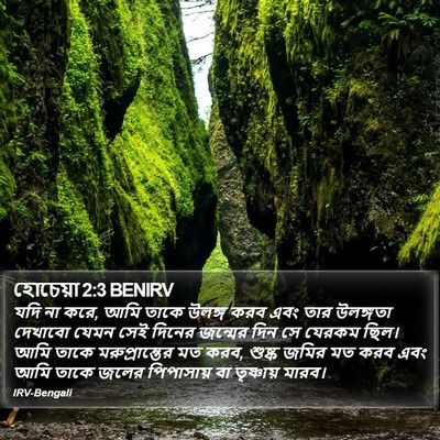 হোচেয়া 2:3 BENIRV Bible Verse Image