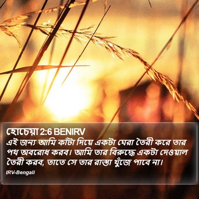 হোচেয়া 2:6 BENIRV Bible Verse Image