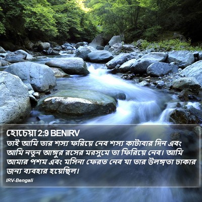 হোচেয়া 2:9 BENIRV Bible Verse Image