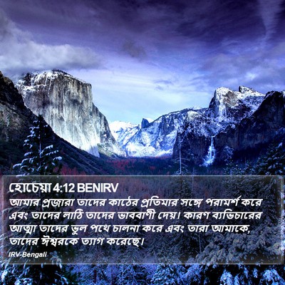 হোচেয়া 4:12 BENIRV Bible Verse Image