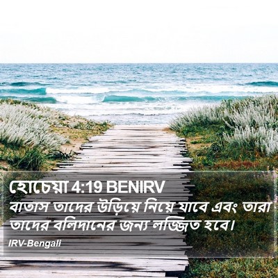 হোচেয়া 4:19 BENIRV Bible Verse Image
