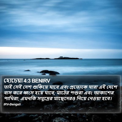 হোচেয়া 4:3 BENIRV Bible Verse Image