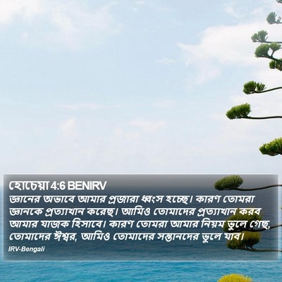 হোচেয়া 4:6 BENIRV Bible Verse Image