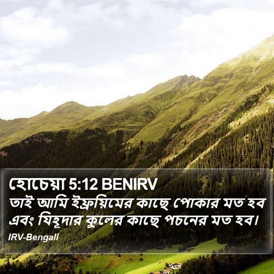 হোচেয়া 5:12 BENIRV Bible Verse Image