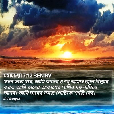 হোচেয়া 7:12 BENIRV Bible Verse Image