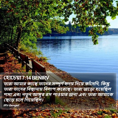 হোচেয়া 7:14 BENIRV Bible Verse Image